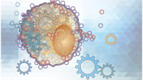 Mechanobiology editorial Nature Communications Biology